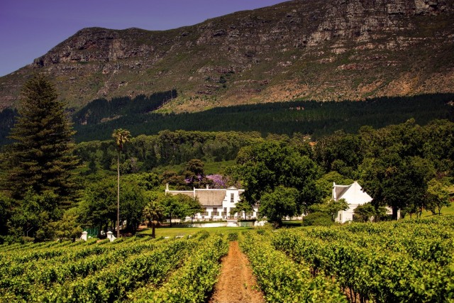 The flavours and future of South African Wine